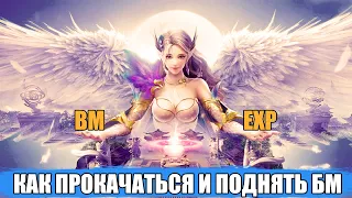 [Perfect World Mobile] ГАЙД для новичков l Как покачаться и поднять БМ