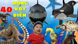 Animal Names And Sounds | 40 Amazing Sea Animals