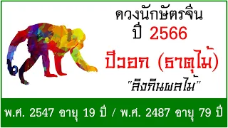 #ดวงปี2566 #ดวงคนปีวอก (ธาตุไม้) เกิด พ.ศ.2547, พ.ศ.2487