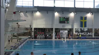 Boys A Platform Euro Finans Diving Lund