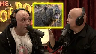 Joe Rogan: I would SHOOT a bear in the face 100%!! | Reacts to footage of BEAR ATTACK!