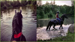 SWIMMING ON HORSEBACK! WOW!