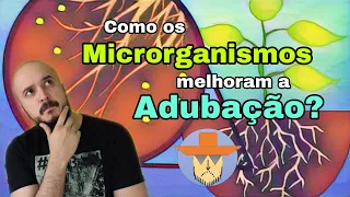 6 Formas em que os MICRORGANISMOS aumentam a eficiência da ADUBAÇÃO