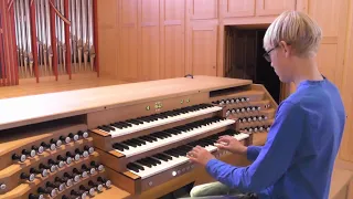Gigi D'Agostino - L'Amour Toujours - Organ/Orgel - Jonathan Pilatz - St. Bonifatius Gießen