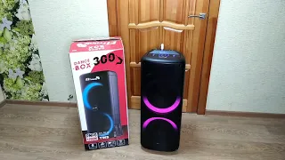 Проверка для Михаила Москва Химки Eltronic 20-16 Dance box 300