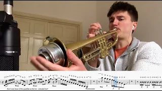What if Them Changes had a wah trumpet solo