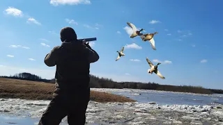 ЭТО НЕЧТО!!! УНИКАЛЬНЫЕ КАДРЫ ОХОТЫ НА УТКУ ВЕСНОЙ ВО ВРЕМЯ ЛЕДОХОДА.