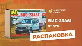 Сборная модель автомобиля ВИС-23461. Распаковка