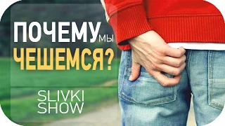 Почему мы чешемся? [SLIVKI SHOW]