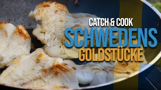 Catch & Cook auf einer Insel in Schweden - Ganz einfach Zander und Barsch filetieren!