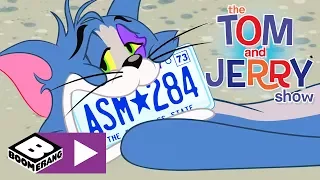 Tom i Jerry Show | Boli mnie ząb | Cartoonito