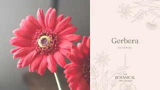 Gumpaste Gerbera Daisy Sugar Foliage Tutorial (Gumpaste / Flower Paste)