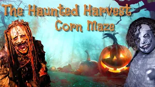 The Haunted Harvest full maze at Frosty's Forest and Pumpkin Patch in Chino California 2022