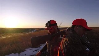 Cozad Farms Pheasant Hunt 2019