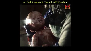 A child is born of a cow but a demon child