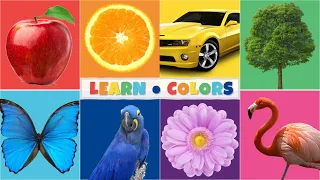 COLORS Song - Colors for Kids