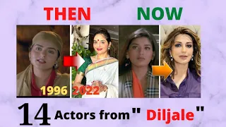 14 Actors from "Diljale" (1996)! Now and then! Unbelievable Transformation 2022
