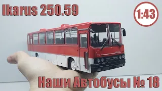 Икарус 250.59 1:43 Наши автобусы №18 Modimio AlexSigModels