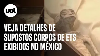Supostos corpos de ETs encontrados no Peru medem cerca de 60 cm; veja o vídeo