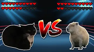 Maxwell cat vs Capybara! Meme battle