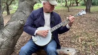 Music: "Banjo finale/The Great Remember" ‖ Steve Martin (2020.04.28)