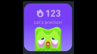 DUOLINGO WIDGETS but they get progressively WORSE.. (ALL WIDGETS)