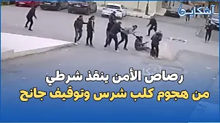رصاص الأمن ينقذ شرطي من هجوم كلب شرس وتوقيف جانح
