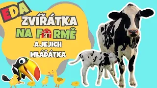 Zvířátka na farmě a jejich mláďátka🐤🐮 vzdělávací video pro děti