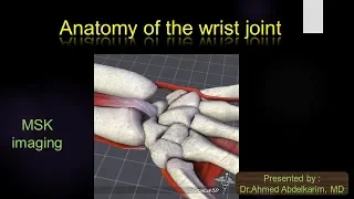 3-Anatomy of the wrist joint