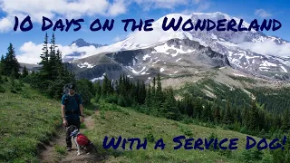 Thru-Hiking the Wonderland Trail With a Service Dog! (With Some Training Tips for Hiking With a Dog)