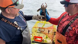 Lobsters in Maine!!!