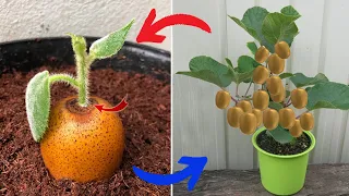 Don't waste your money you can propagate any plant at home this way | Relax Garden