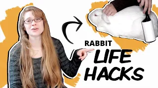 Top 10 Rabbit Life Hacks