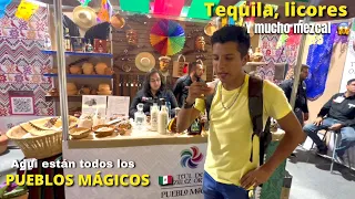 Tianguis magical villages: MEXICO and its 132 magical villages gathered in one PLACE 😱🇲🇽| OAXACA