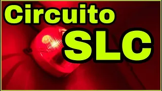 👉APRENDE cómo CABLEAR correctamente un LAZO SLC 🔥🔥