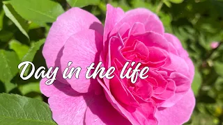 Day in the life | Vlog | Spring | Daily Vlog | Laundry day | open package with me | IHerb