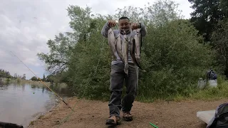 🔥Trout on fire lake Gregory 🔥