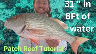 How To Catch HUGE Mutton Snappers In 8 Feet Of Water! Florida Keys Patch Reefs Part 2.