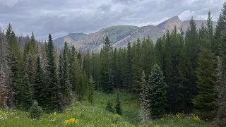 2022 Wyoming High-Country Mule Deer Hunt