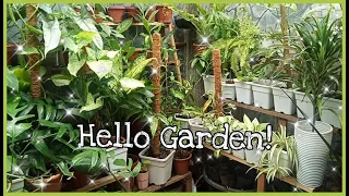 Vlog #62: Hello Garden! (April 18, 2021)