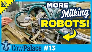 What's a GEA Milking ROBOT Like? + Some Spring Cleaning | Building Our Cow Palace - E13