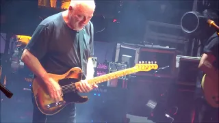 David Gilmour - Arènes de Nîmes - 20 7 2016