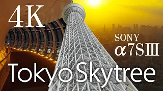【4K】Beautiful view from sunset to night view from Tokyo Skytree