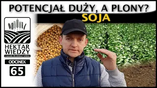 SOJA. POTENCJAŁ DUŻY, A PLONY? | ODCINEK #65