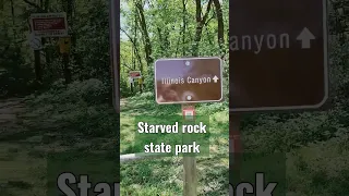 Exploring Illinois Canyon at  Starved Rock State Park  #nature #waterfalls #statepark #hiking