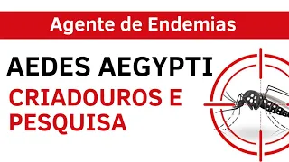 Aedes Aegypti - Tipos de Criadouros e técnicas de pesquisa - Agente se Endemias