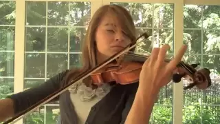Final Fantasy IX Beatrix's Theme (Rose of May) Violin