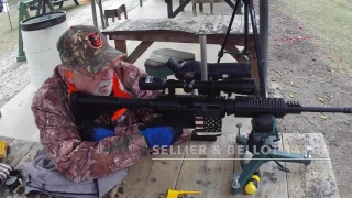 DPMS Panther AR10 at 50 and 100 Yards