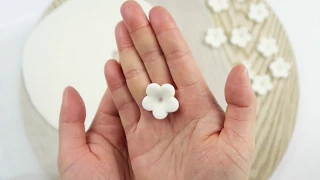 How to use a Flower Plunger Cutter | June 2018