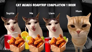 CAT MEMES Roadtrip Compilation 1 Hour